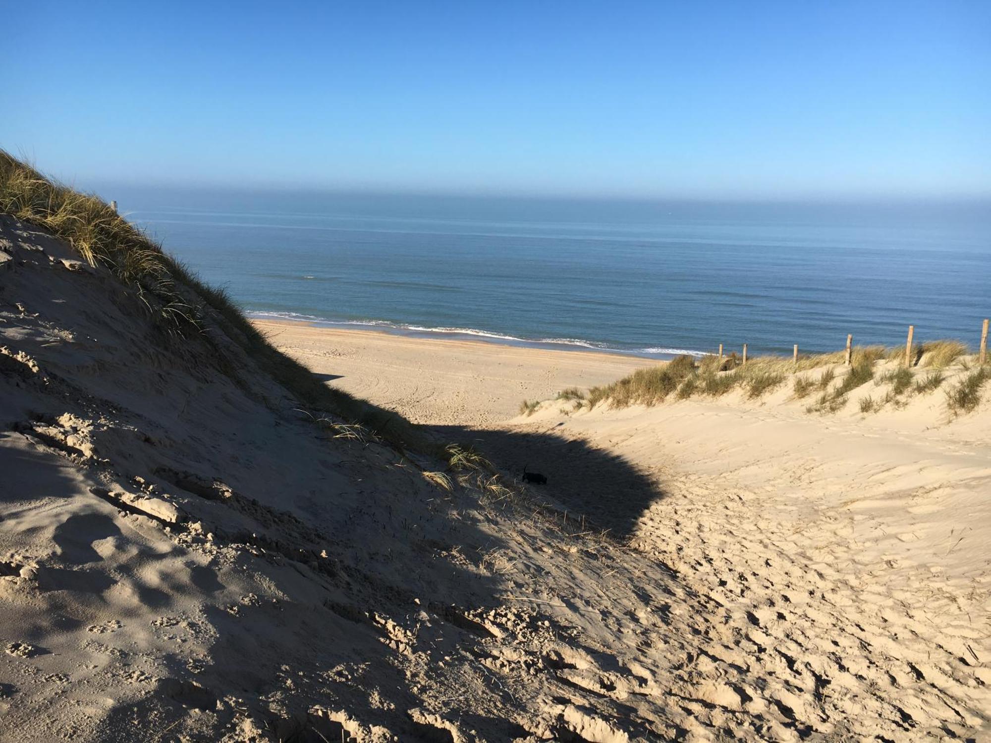 Eco Lodge Duin- Unieke Locatie -Strand, Duin En Nabij Cultuursteden Castricum Extérieur photo