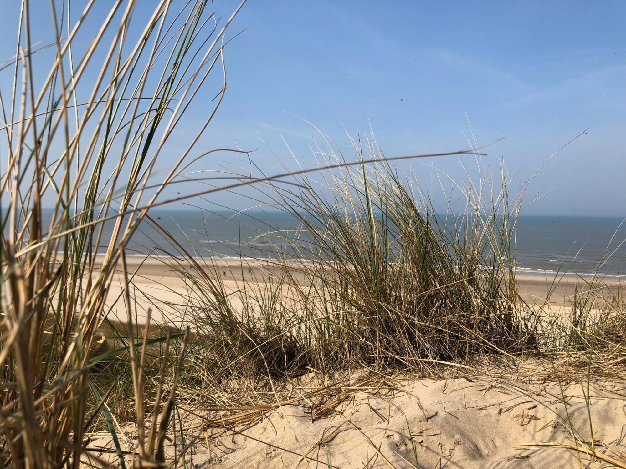 Eco Lodge Duin- Unieke Locatie -Strand, Duin En Nabij Cultuursteden Castricum Extérieur photo